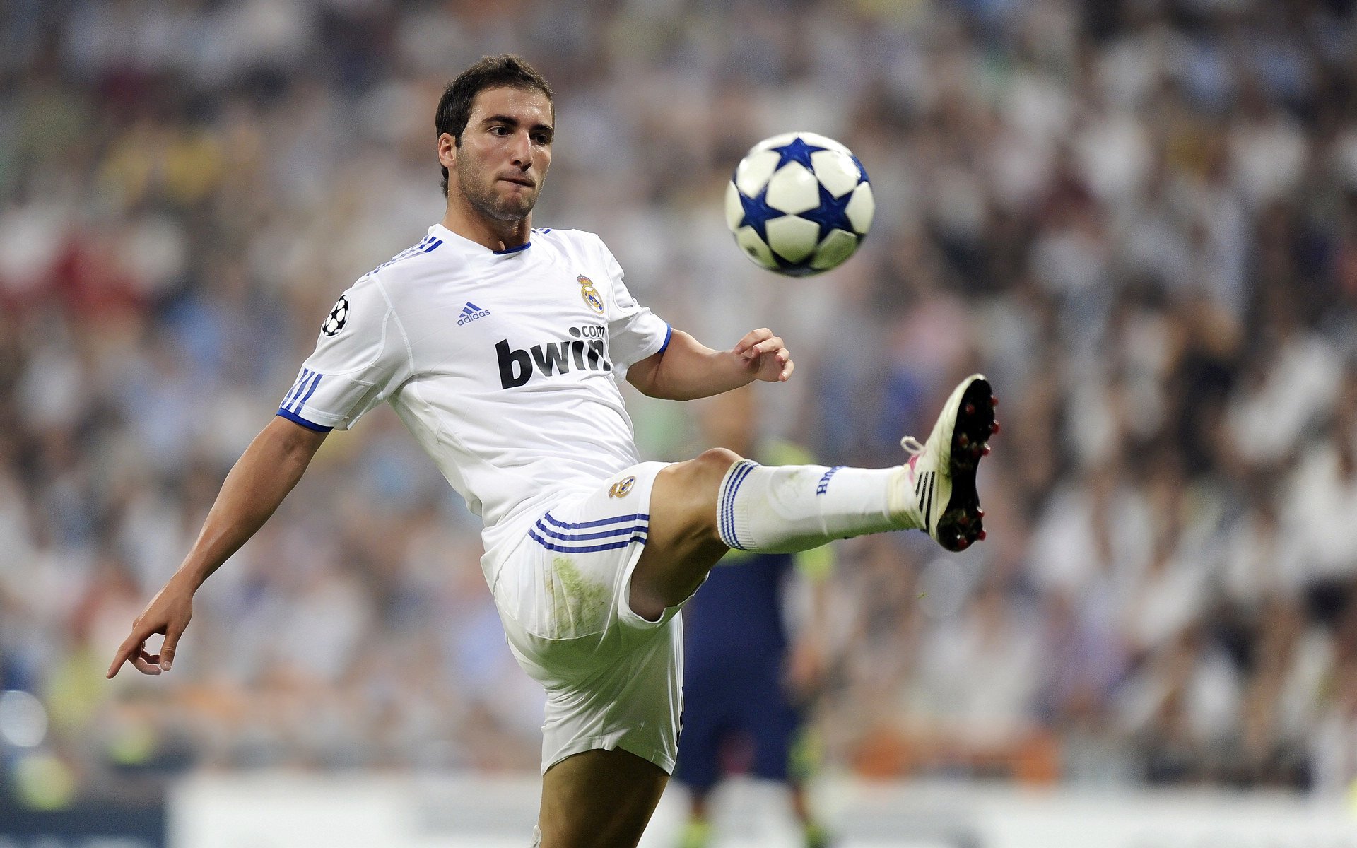 AC MILAN APP-高校体育场馆智能运营系统设计研究,高校体育场馆现状 第4张 AC MILAN APP-高校体育场馆智能运营系统设计研究,高校体育场馆现状 第4张